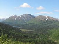 Resurrection Pass Trail View